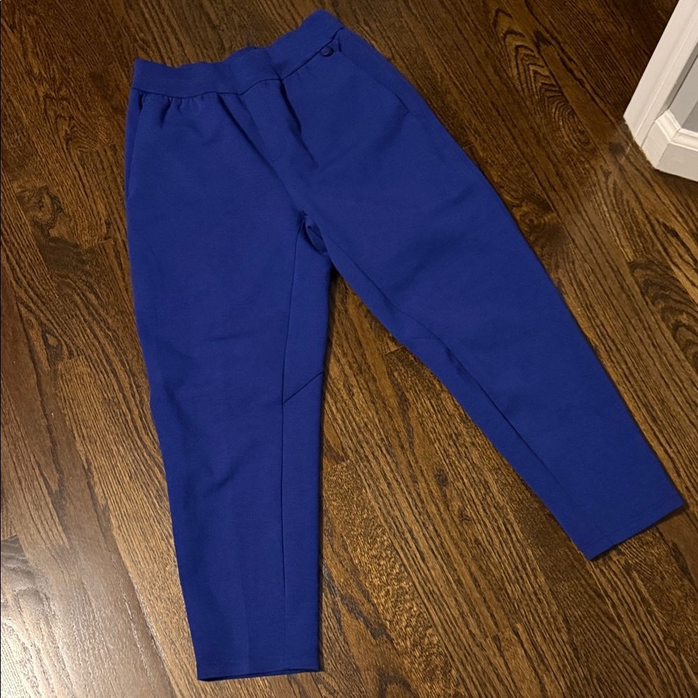 Nike Vibrant Blue Jogger Pants men’s small jogger sweatpants